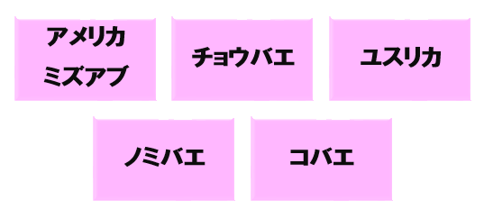 ﾐｽﾞｱﾌﾞ　ﾁｮｳﾊﾞｴ　ﾕｽﾘｶ